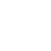 Double-Shaft Paddle Mixer